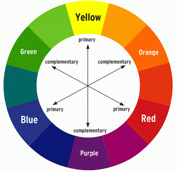 A color wheel with different colors Description automatically generated